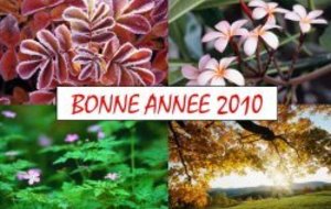 BONNE ANNEE 2010