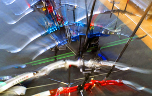 PENSEZ: LICENCE DECOUVERTE.