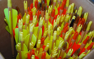 LES ENTRAINEMENTS ONT REPRIS AU BOULODROME