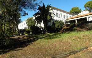 LE CREPS DE BOULOURIS COTE MER